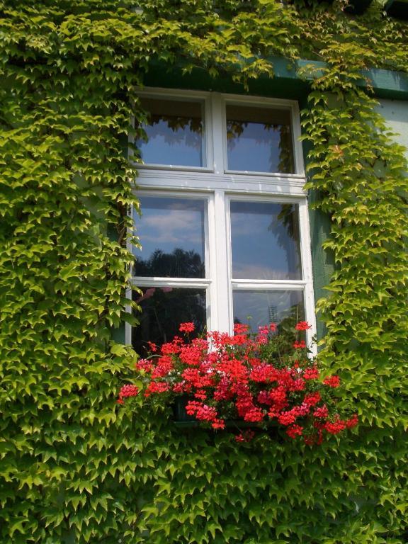 3 Sterne Hotel Frankfurt-Oder Zur Alten Oder Frankfurt an der Oder Exterior foto
